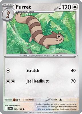 Furret - 119/159 [Normal]